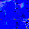 ezgif-5-8df471a121.gif
