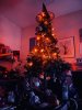 IMG_2071.jpeg