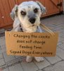 FB_IMG_1699163094064.jpg