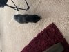 IMG_5272.jpeg