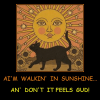 walkin-in-sunshine-made-cheezburger-home-page.png