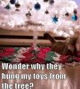 FB_IMG_1702541322155.jpg