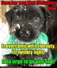puppy-sees-first-christmas-tree.jpg