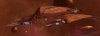 IMG_2674.jpeg