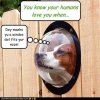 you-know-your-humans-love-you-when....jpg