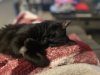 IMG_5373.jpeg