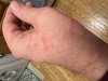 IMG_5380.jpeg