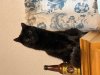 IMG_5431.jpeg