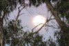 DSCN0007.JPG