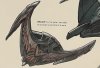 Romulan_bird_of_prey_2150s.jpg