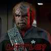 Worf 2b2 Little.jpg