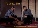 itsdeadjim4.jpg