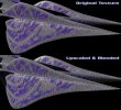 Texture_20240915_017_comp.jpg