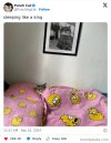 ILisafancat69745818-png__700.jpg