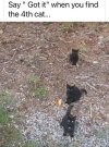 FB_IMG_1731339170332.jpg
