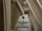 Dr who K9.gif