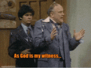 WKRP Turkey.gif