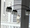 IMG_1150.jpeg