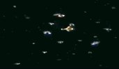 Fleet4.jpg