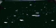 Fleet5.jpg