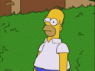 IMG_9241.gif