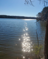 lake sun - Copy.png