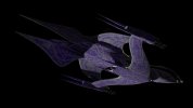 TextureTest_20250406_005.jpg