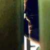 ezgif-1e1669c3e641a8.gif