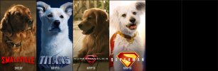 Superman 20 - KRYPTO.jpg
