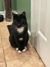 IMG_2470.jpeg