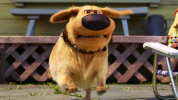 1756151374589.png