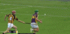 hurling2.gif
