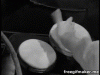 53F27F57-262F-42B9-8331-1A69B2CBCC53.gif