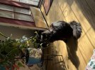 IMG_6596.jpeg