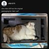 mXX72Kk.jpeg