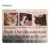 What we know about cats 1a.jpg