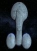 USSphallus1.jpg