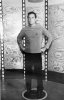 kirk_transporter01.jpg