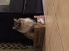 upload_2019-3-1_20-48-47.jpeg