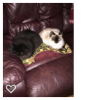 Hooty & Arya 4.4.19.png