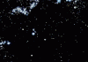 2FAE0F48-12D7-4B8A-A6CF-AC2A7F8C745E.gif