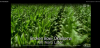 Screenshot (5).png