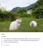FB_IMG_1559206636598.jpg