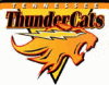TennesseeThunderCats01.gif
