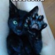 Kitty