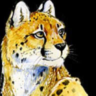 Gepard