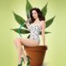 Ganja Tea