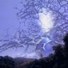 Crystalline Entity