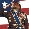 AdmiralBruno