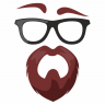 Beard_vs_Geek